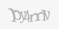 Защитный код